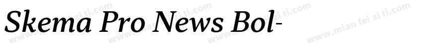 Skema Pro News Bol字体转换